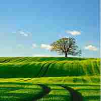 免‍费﻿网‍站‌模﻿板‌脚​本‍大‌全‌